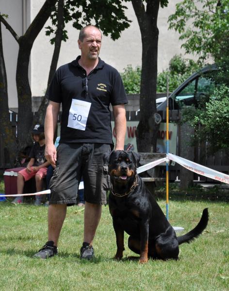 Rottweiler single master