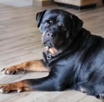 Happy Birthday, Lada!